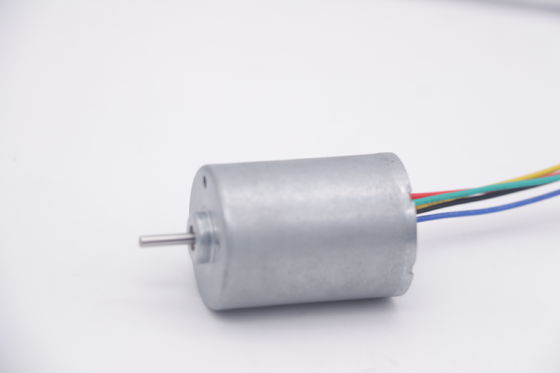 BL2838 Fırçasız 24V 12V DC Motor 4000 Rpm Yüksek Döner Küçük Bldc Motor