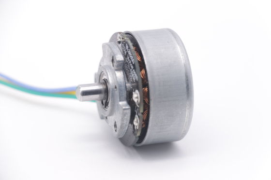 DBL3825 12V 24V BLDC Motor Yüksek Dönerli Fascial Gun Mini DC Brushless Motor