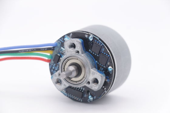 DBL3830O Motor 12v 3500rpm Mini Masajcı Silahı için 38mm Outrunner fırçasız motor