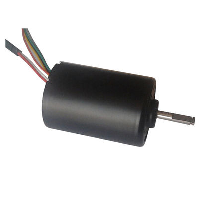 DBL4260 30W Yüksek Dönerli DC fırçasız Motor Su Pompası 24 Volt BLDC Motor