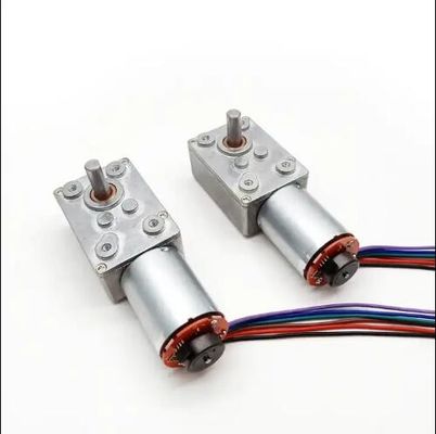 Yüksek torklu DC solucan dişli motoru düşük hızlı güç kapalı kodlayıcı ile kendi kendine kilitleyici motor