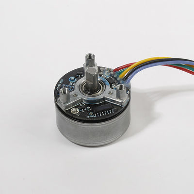 Masaj tabancası için 38mm 12V DC fırçasız motorlar fırçasız motorlar